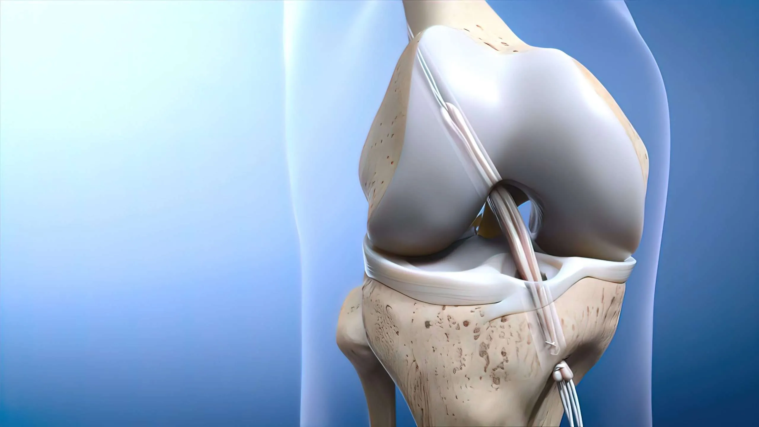 Ligament Repair Surgery - 360 Global Health Solutions