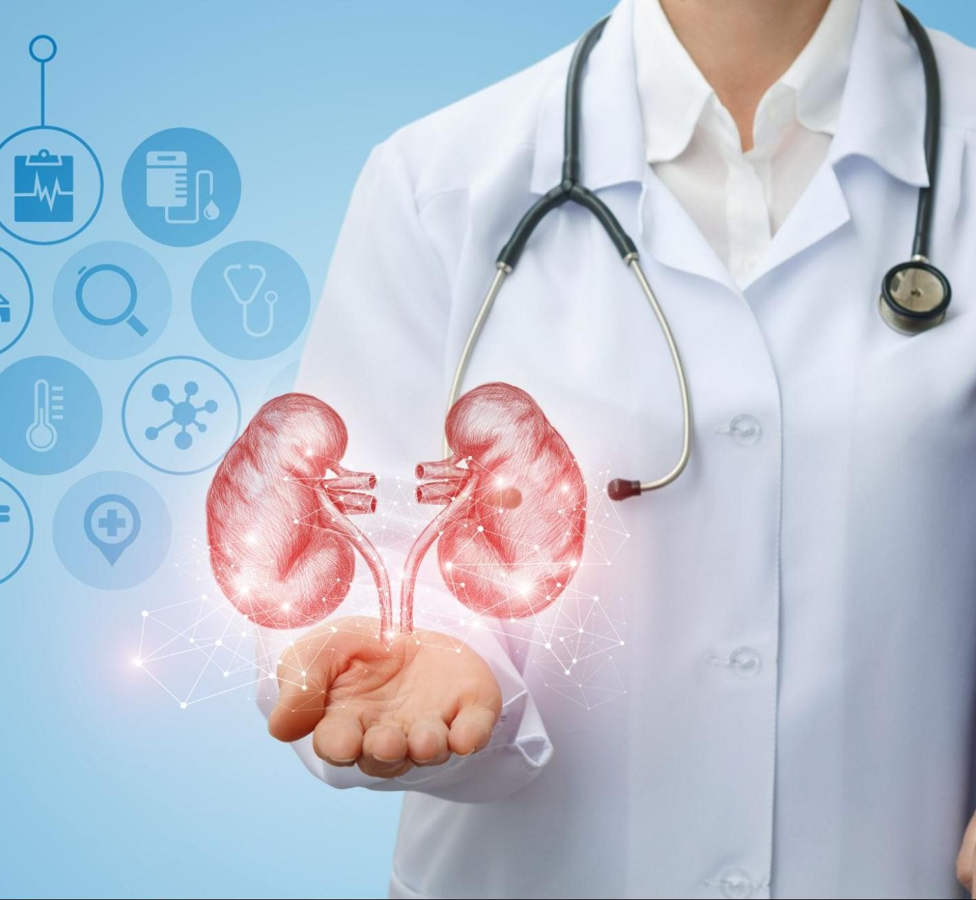 Liver & Kidney Health Checkup - 360 Global Health Solutions